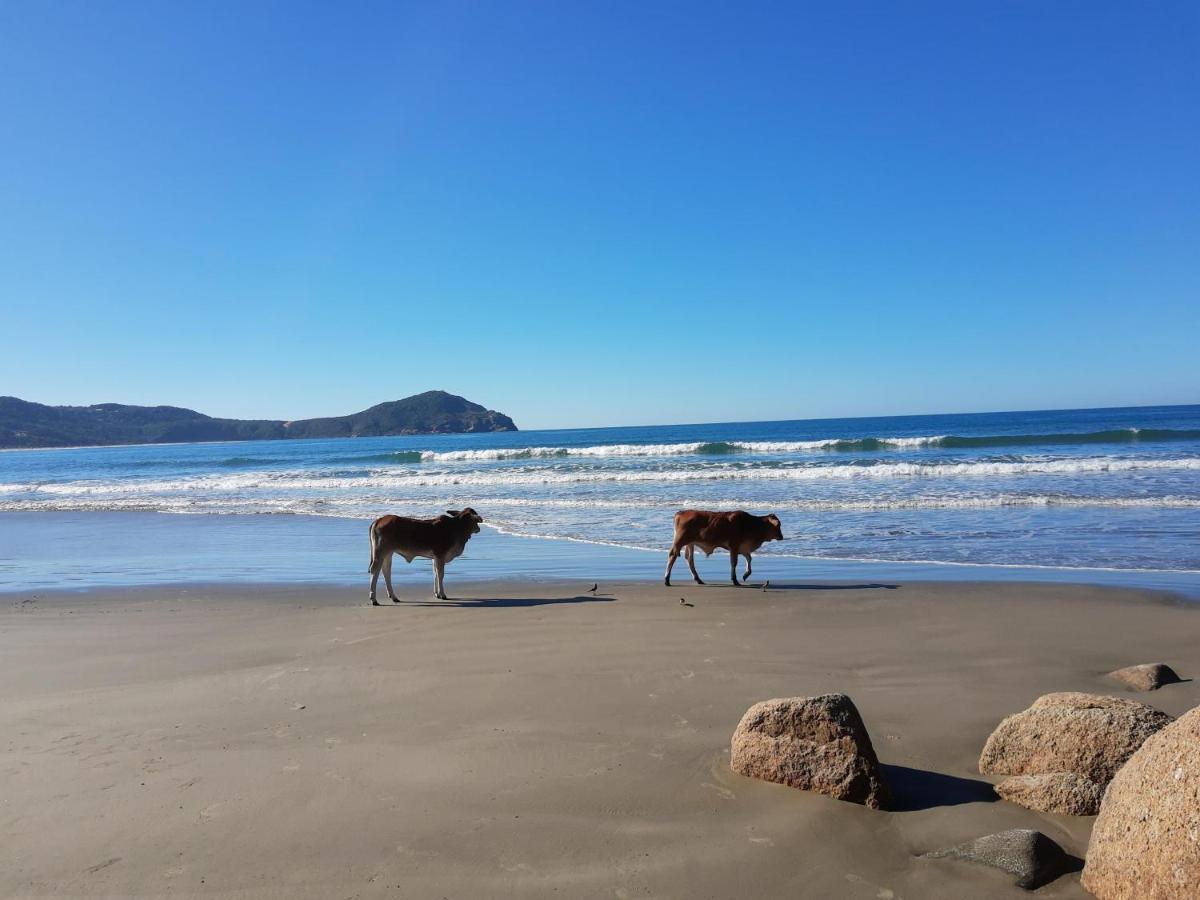 Pousada Gopak Praia do Rosa Exterior photo
